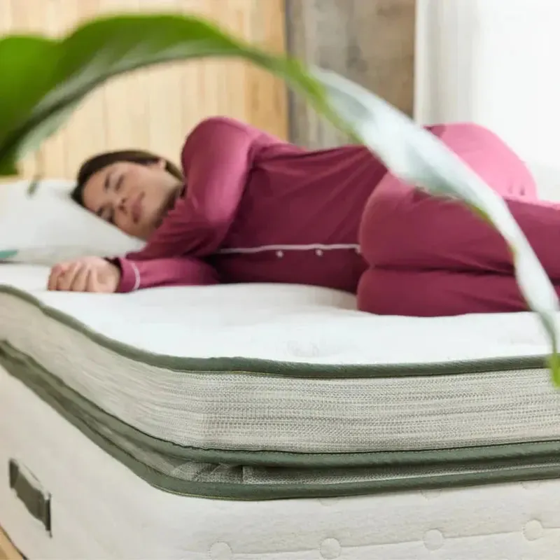 AVOCADO GREEN MATTRESS:   THE ULTIMATE ORGANIC MATTRESS  | Plush Box top Model