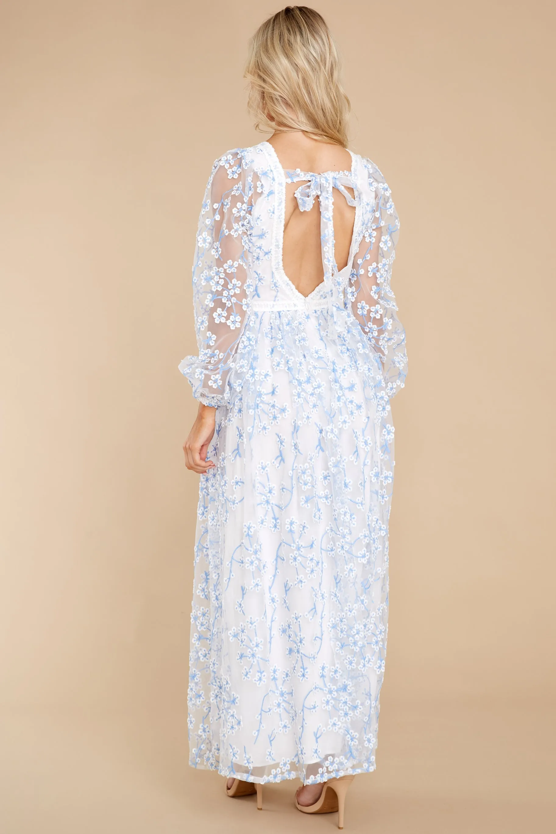 Heavenly Sights Blue And White Floral Embroidered Maxi Dress