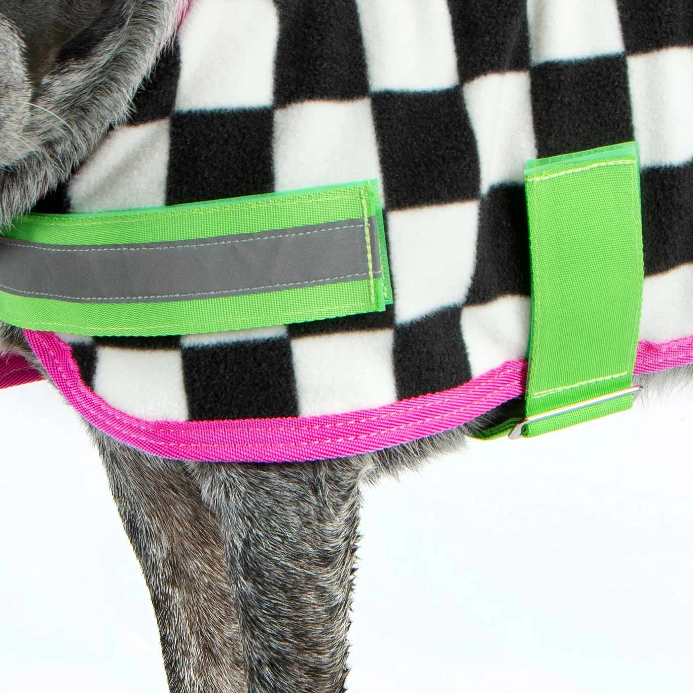 Jeffers Expression Fleece Dog Coat, Skater Pup