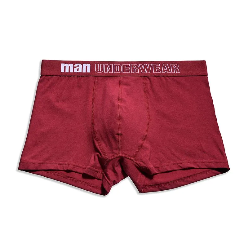 men's cotton underpants male