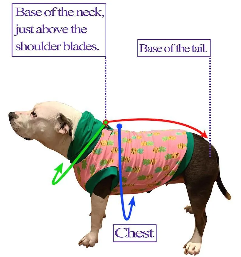 Red 'Murica - PAWJama with Blue & White Stripes Neck & Trim/Sleeves