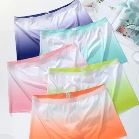 Sheer Breathable Gradient Color Boxer