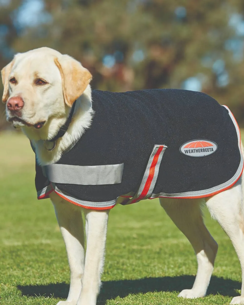 WeatherBeeta ComFiTec Therapy-Tec Fleece Dog Coat